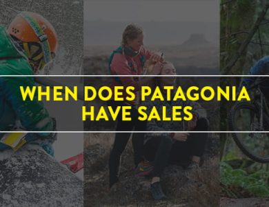 Patagonia sales