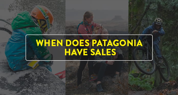 Patagonia sales