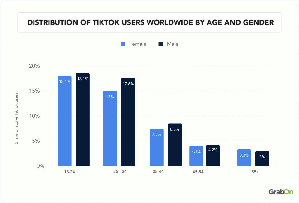 Distribution of TikTok Users Worldwide by Age and Gender