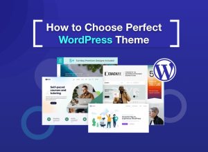How to Choose PerfectWordPress Theme