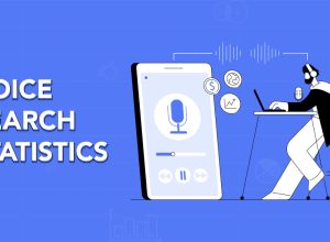 Voice Search Statistics