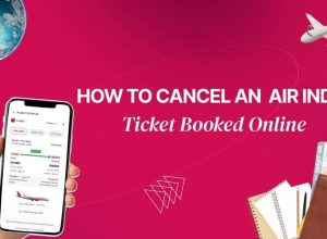 how to cancel an air india ticket booked online