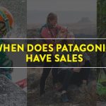patagonia sales
