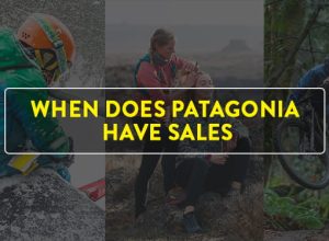 patagonia sales