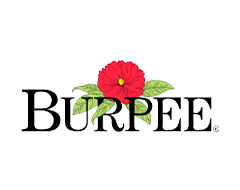 Burpee Promo Codes