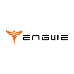 engwe bikes Coupons