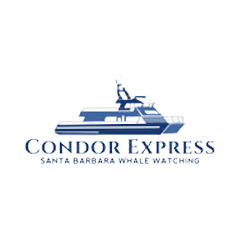 Condor Express Logo Condor Express Coupons