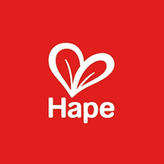 Hape Coupons