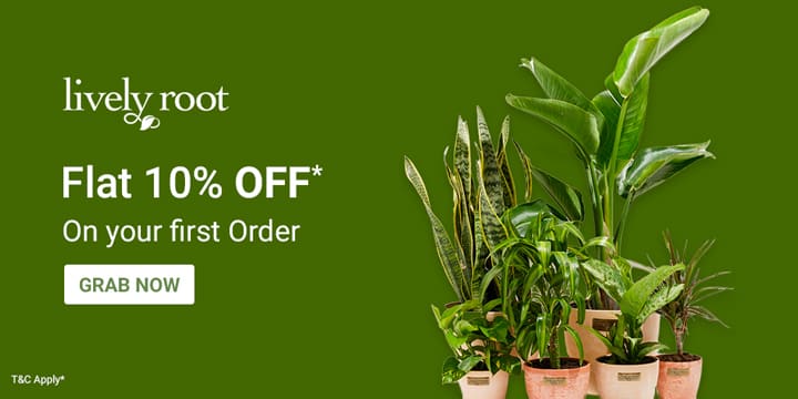 Lively Root Promo Code